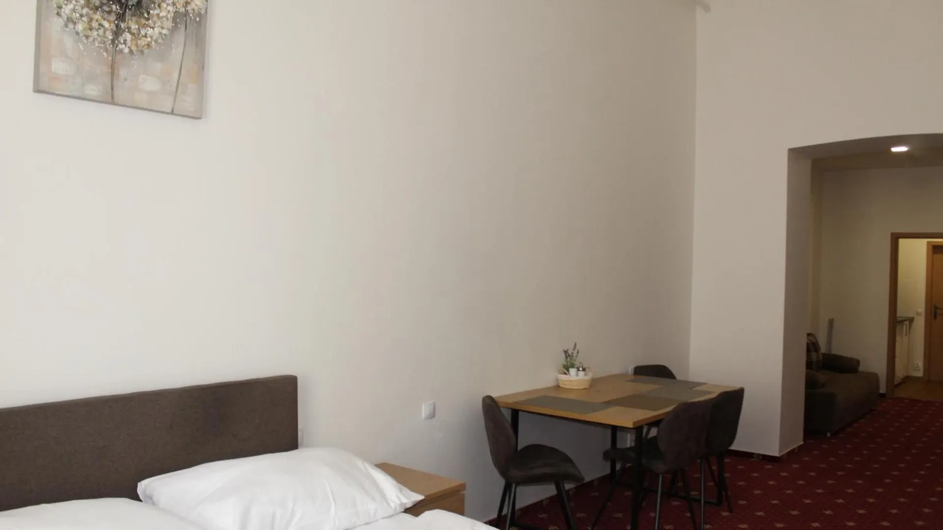 Apartament Sokolska Praga 0*,